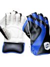 SM Wicket Keeping Gloves Player