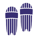 Batting Pads